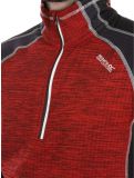 Miniaturansicht Regatta, Hepley Pullover Herren Danger Red / Ash grau, rot 