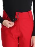 Miniaturansicht Rossignol, Ski Softshell Softshell Skihose Damen Ruby Red rot 