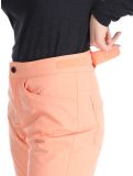 Miniaturansicht Roxy, Backyard Skihose Damen Peach Pink rosa 