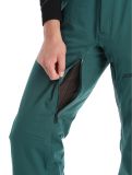 Miniaturansicht Spyder, Dare Skihose Herren Cypress Green grün 