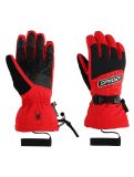 Miniaturansicht Spyder, Overweb GTX Skihandschuhe Herren Spyder Red rot 