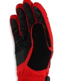 Miniaturansicht Spyder, Overweb GTX Skihandschuhe Herren Spyder Red rot 