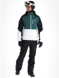 Miniaturansicht Spyder, Vanqysh Gtx Skijacke Herren Cypress Green grün 