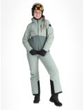 Miniaturansicht Whistler, Drizzle Skijacke Damen Slate Gray grau 