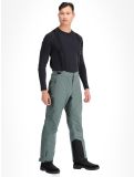 Miniaturansicht Whistler, Drizzle Skihose Herren Balsam Green grün 