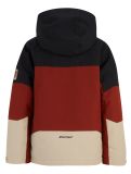 Miniaturansicht Ziener, Agimo Junior Skijacke Kinder Woody Brown beige, braun, schwarz 