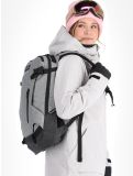 Miniaturansicht Icepeak, Curran Skijacke Damen Light Grey grau 