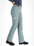 Miniaturansicht Rehall, Kyle-R Skihose Damen Trooper grau 