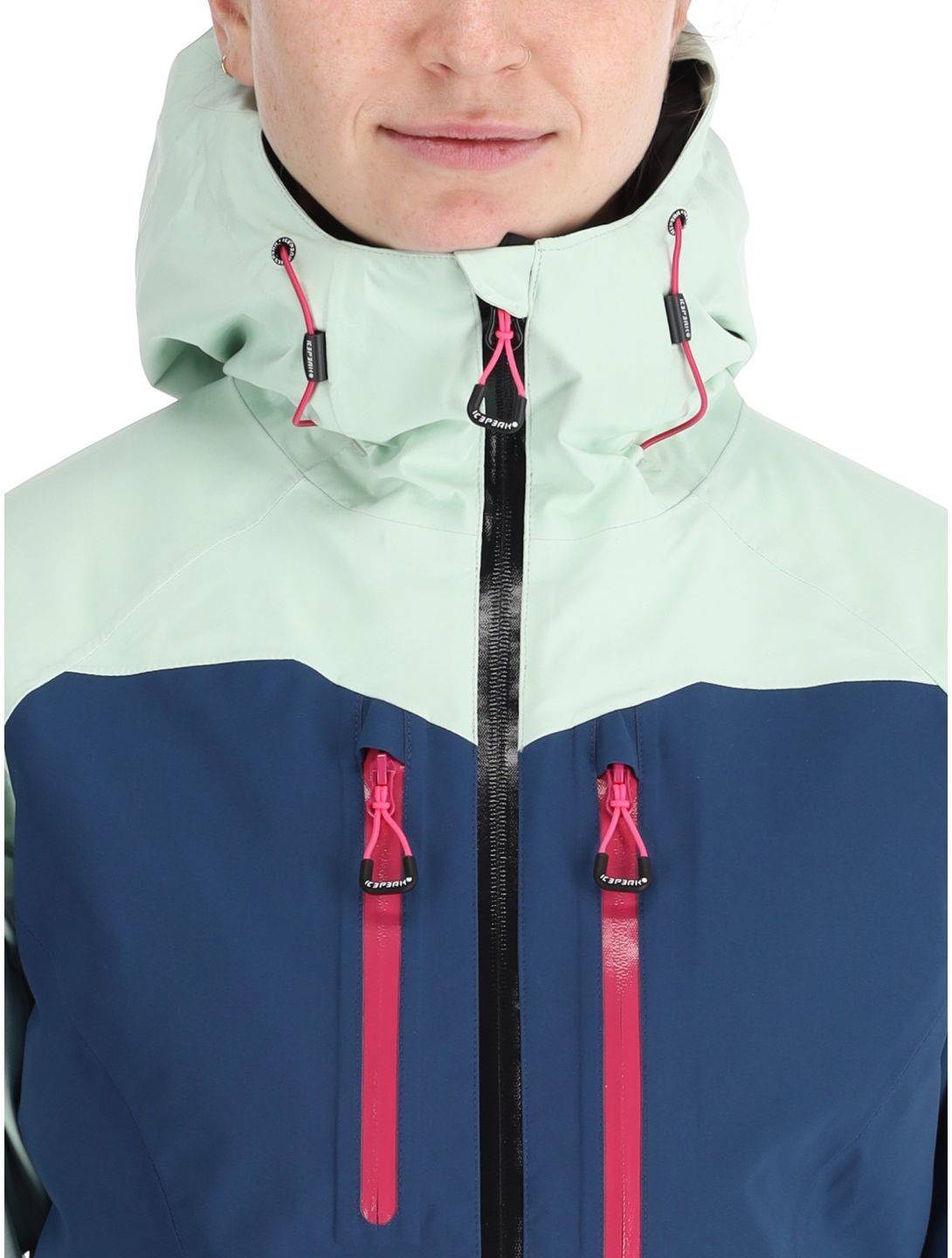 Icepeak, Datteln Hardshell Skijacke Damen Aloe grün 