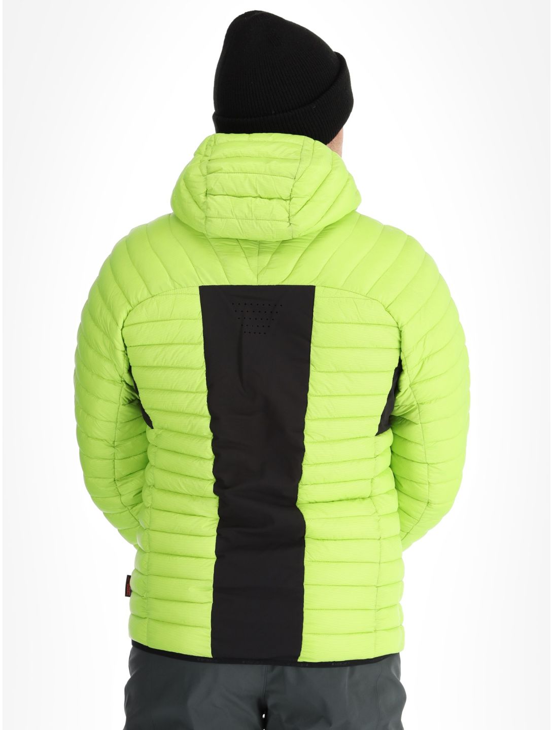 Icepeak, Dillon Daunenjacke Herren Light Green grün 