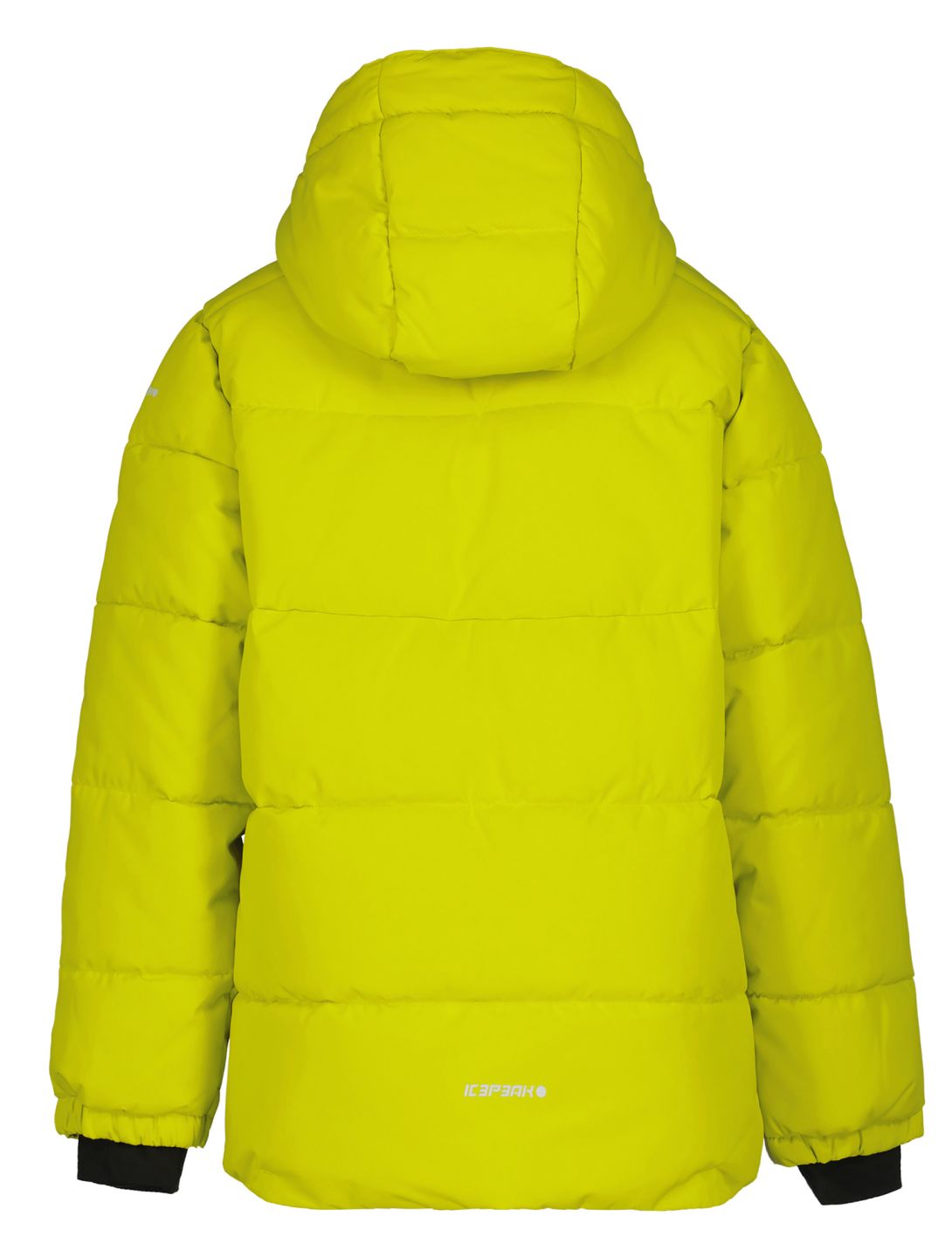 Icepeak, Louin JR Skijacke Kinder Aloe grün 