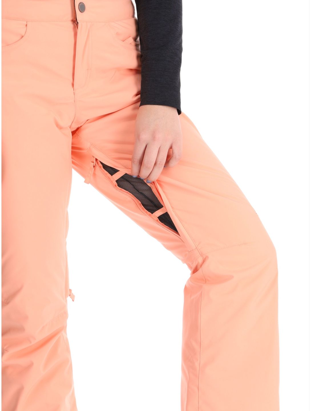 Roxy, Backyard Skihose Damen Peach Pink rosa 