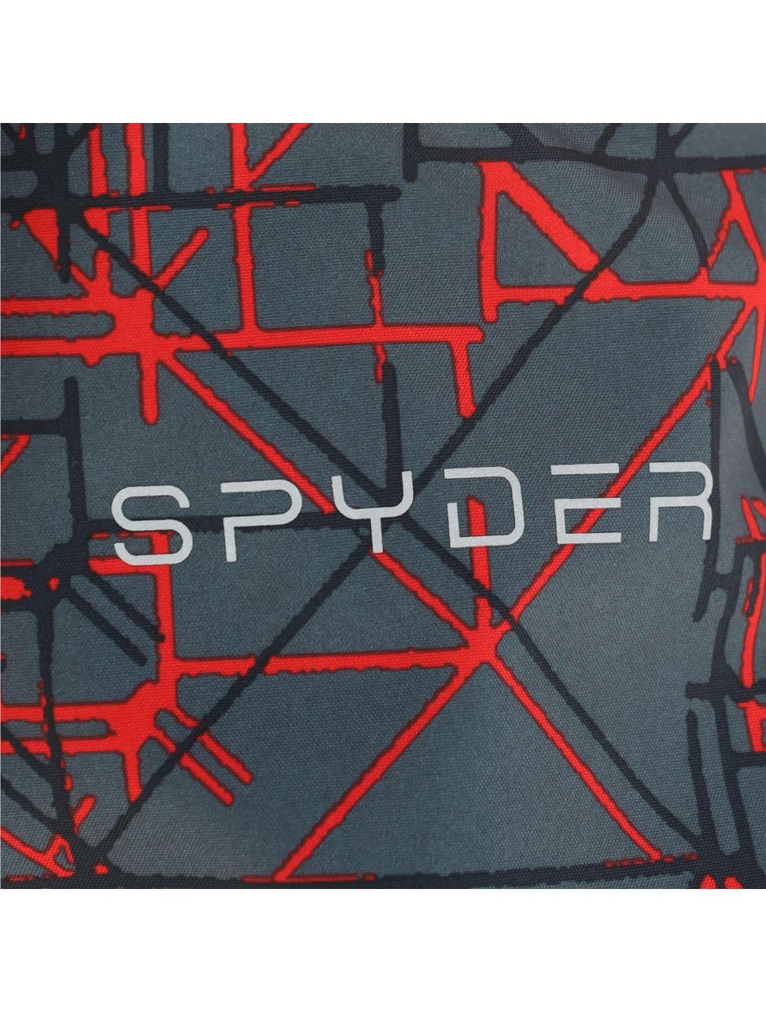 Spyder, Propulsion Skihose Kinder network print grau/rot